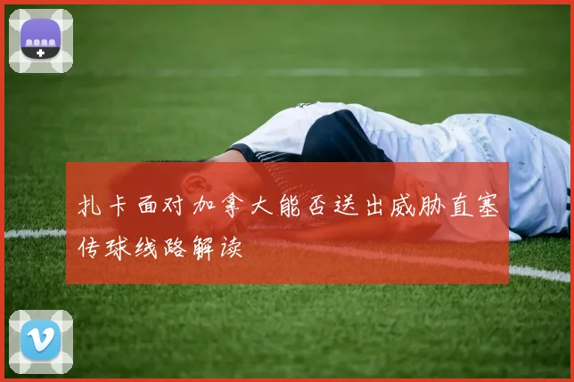 扎卡面对加拿大能否送出威胁直塞传球线路解读