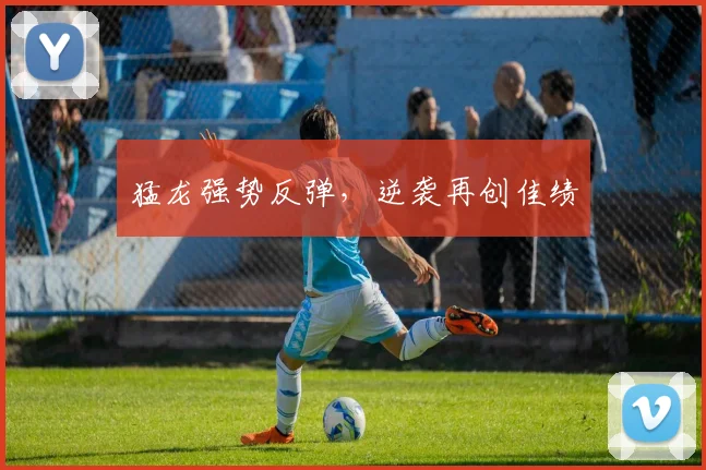 猛龙强势反弹，逆袭再创佳绩