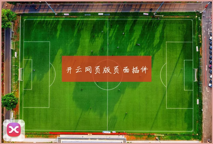 开云网页版页面插件