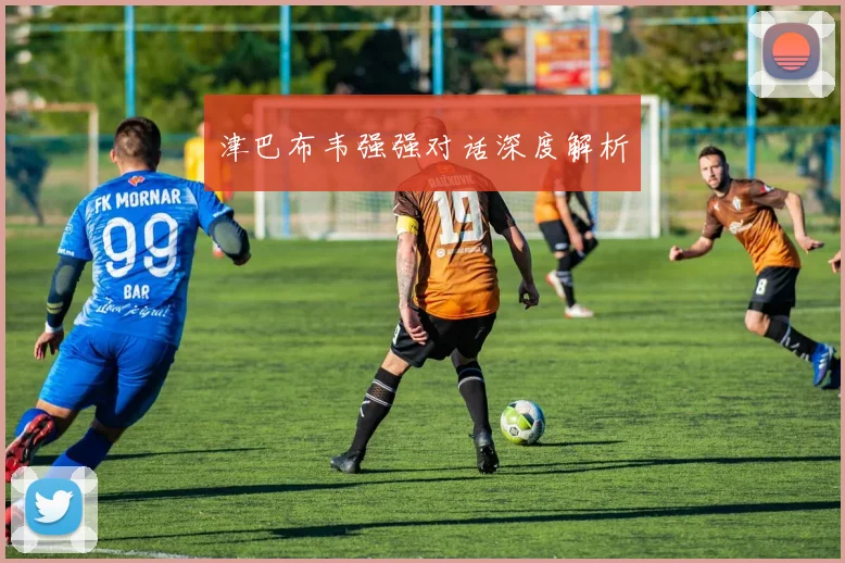 津巴布韦强强对话深度解析