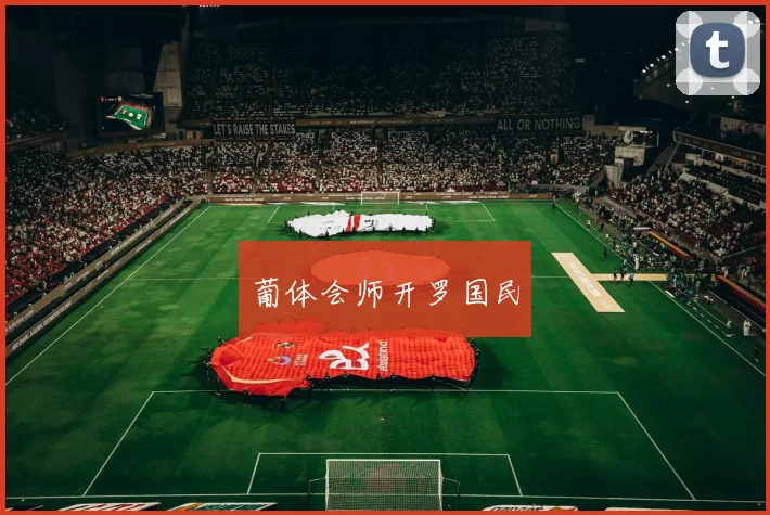 葡体会师开罗国民