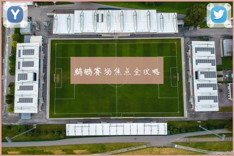 鹈鹕赛场焦点全攻略