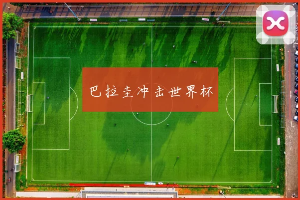 巴拉圭冲击世界杯