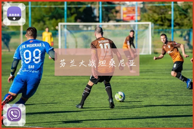 芬兰大战坦桑尼亚