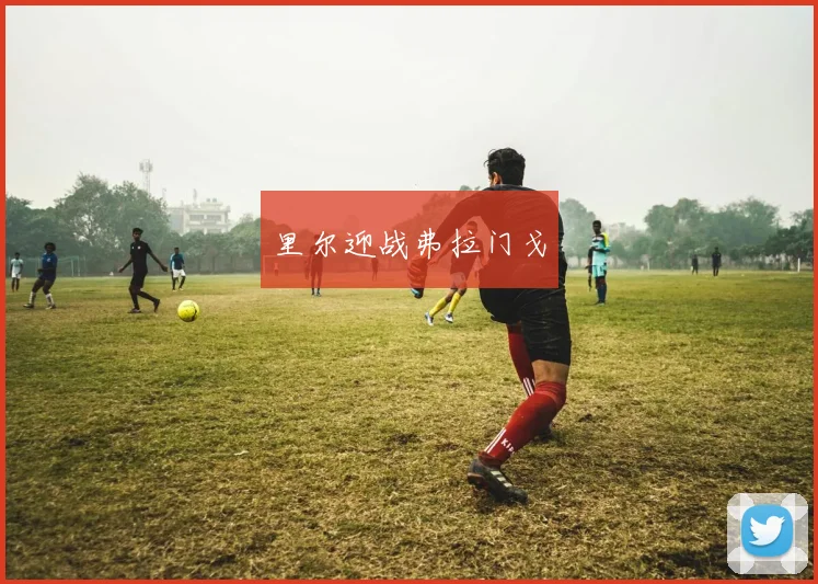 里尔迎战弗拉门戈