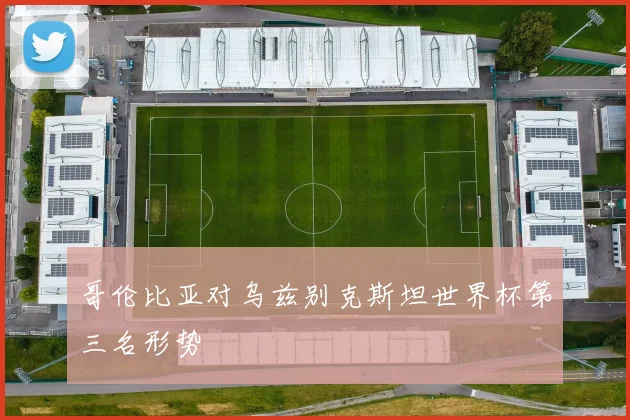 哥伦比亚对乌兹别克斯坦世界杯第三名形势