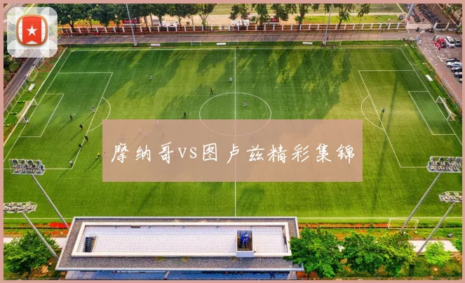 摩纳哥vs图卢兹精彩集锦