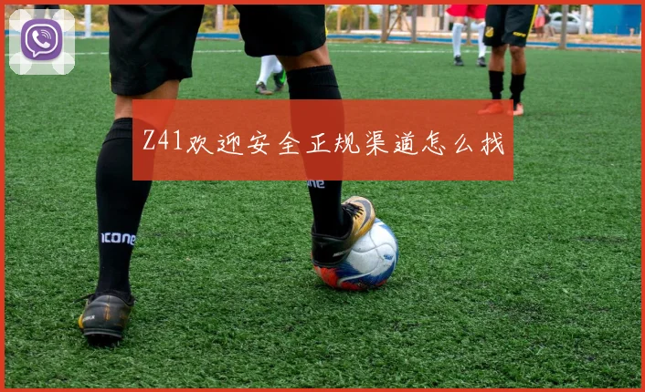 Z41欢迎安全正规渠道怎么找